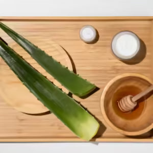 Aloe Vera: Nature's Secret to Faster Wound Healing!