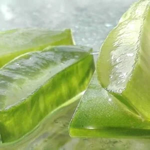 Aloe Vera: A Game-Changer for Dental Hygiene