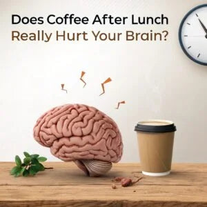 Does Coffee After Lunch Really Hurt Your Brain?