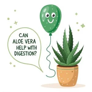 Can Aloe Vera Help with Digestion?
