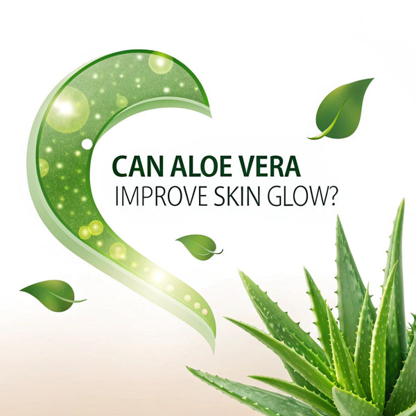 Can Aloe Vera Improve Skin Glow?