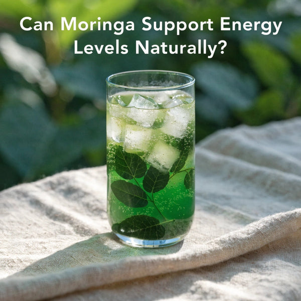 Can Moringa Support Energy Levels Naturally?