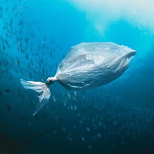 How Plastic Is Killing Us