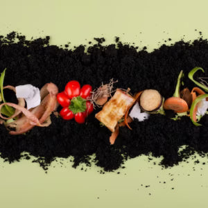 The Importance of Composting