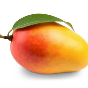 Why Mango Is the King of Fruits