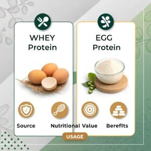 Difference Between Whey Protein and Egg Protein