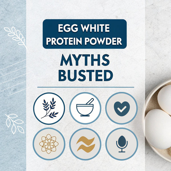 Egg White Protein Powder Myths Busted