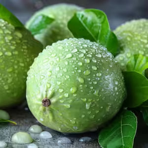 Monk Fruit Sweetener for Diabetics