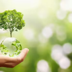 Sustainable Chemical Processes!