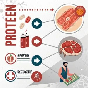 How Protein Helps in Healing and Recovery
