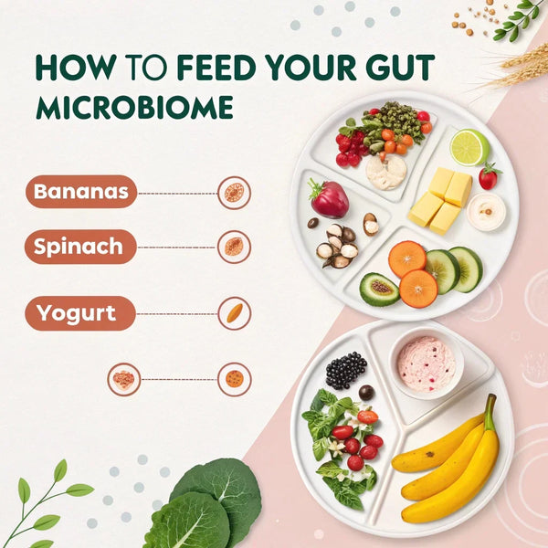 How to Feed Your Gut Microbiome