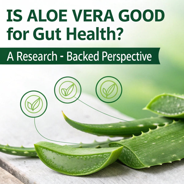 Is Aloe Vera Good for Gut Health? A Research-Backed Perspective