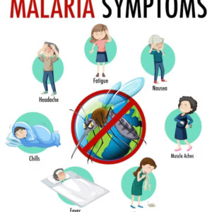 Malaria: Symptoms Risks & How to Stay Safe