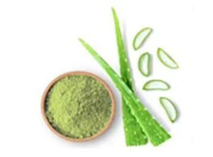 Why Choose iZaG Aloe Vera Gel Powder?