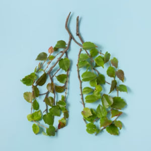 How Air Pollution Damages Your Lungs