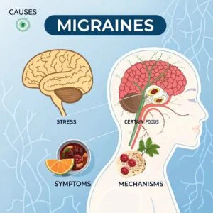 The Science Behind Migraines