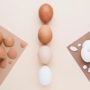 Brown or White Egg: What’s the Difference?