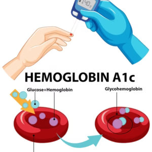Thalassemia and Blood Health