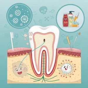 What Causes a Tooth Cavity?
