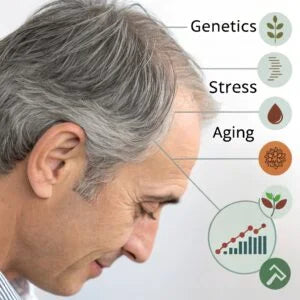 Why Does Hair Turn Gray Early?