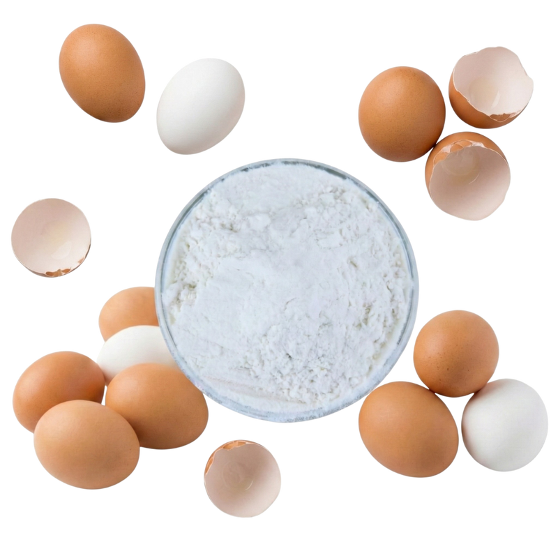 iZaG Albumen Protein Powder