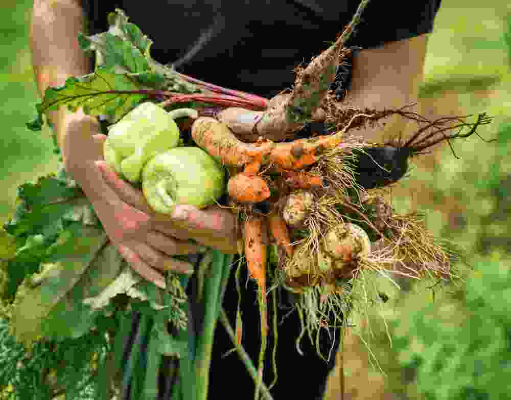 Izag Nutri