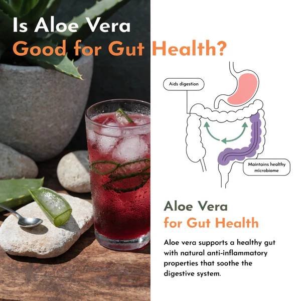 Is Aloe Vera Good for Gut Health?