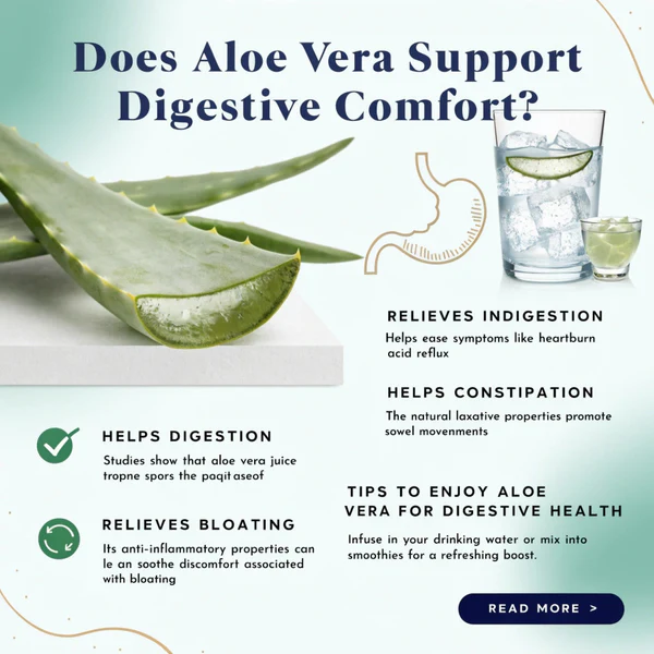 Does Aloe Vera Support Digestive Comfort?